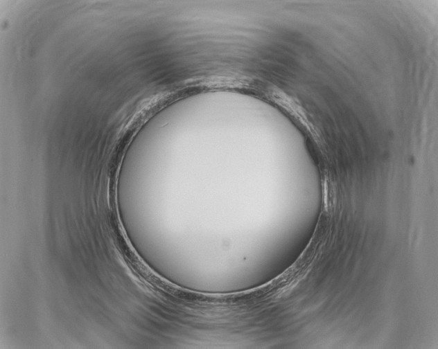 X0000086880205200704160948