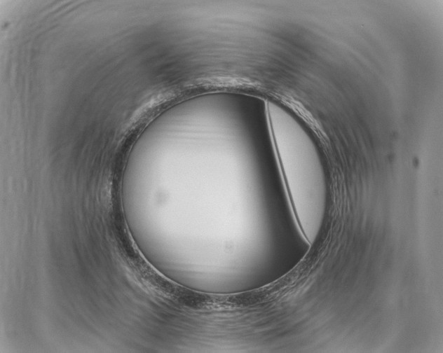 X0000086880207200704160948