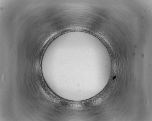 X0000086880208200704160948