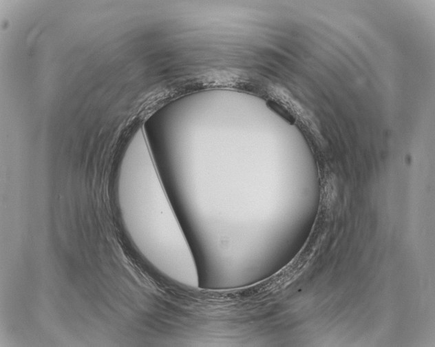 X0000086880209200704160948