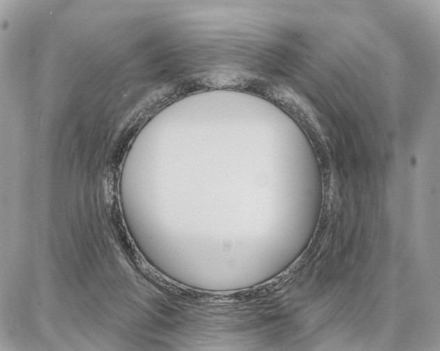 X0000086880210200704160948