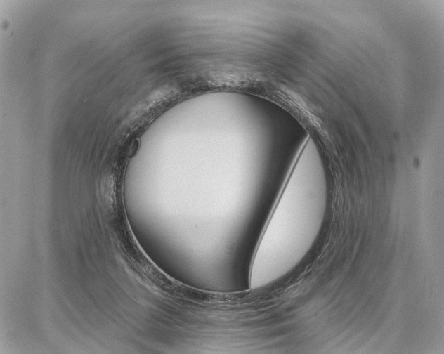 X0000086880211200704160948