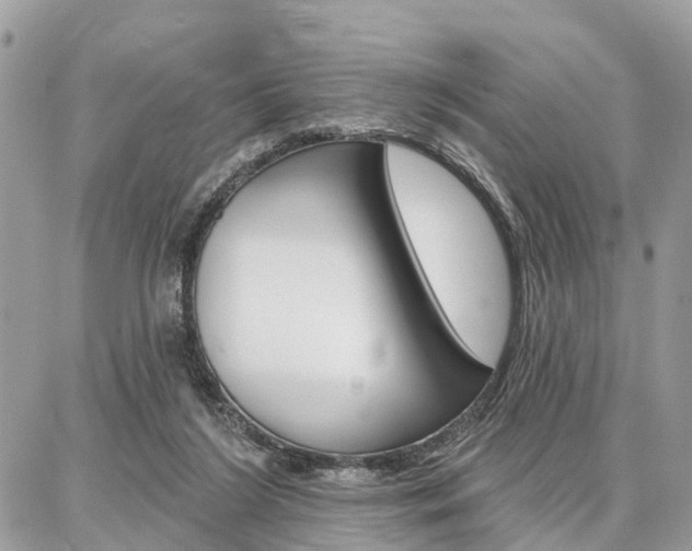 X0000086880212200704160948