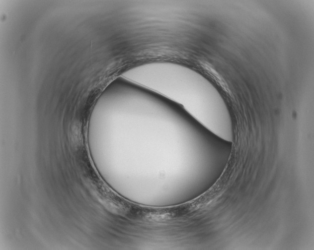 X0000086880213200704160948