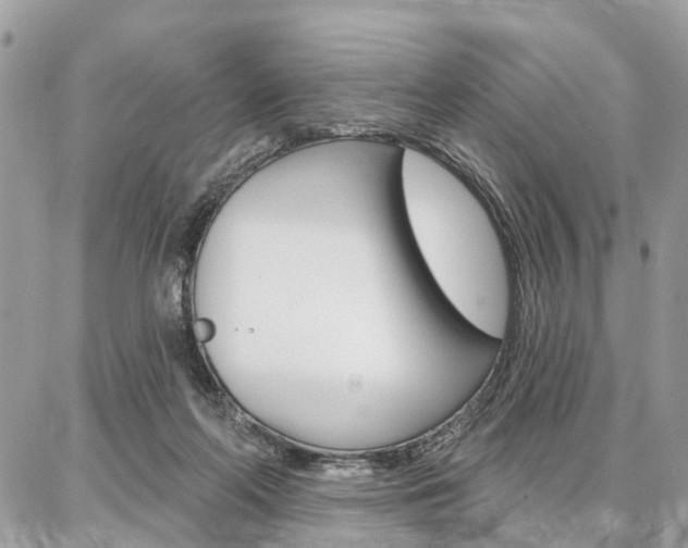 X0000086880214200704160948