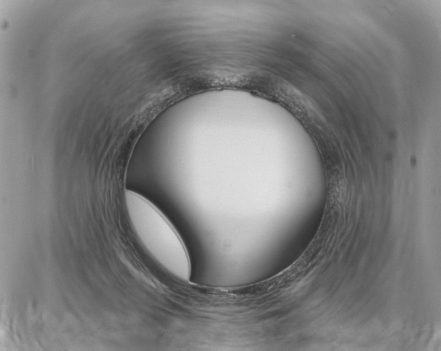 X0000086880215200704160948