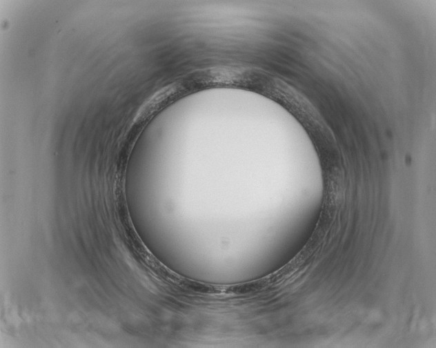 X0000086880216200704160948