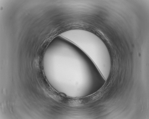 X0000086880217200704160948