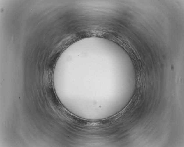 X0000086880218200704160948