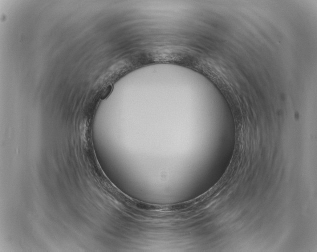 X0000086880219200704160948