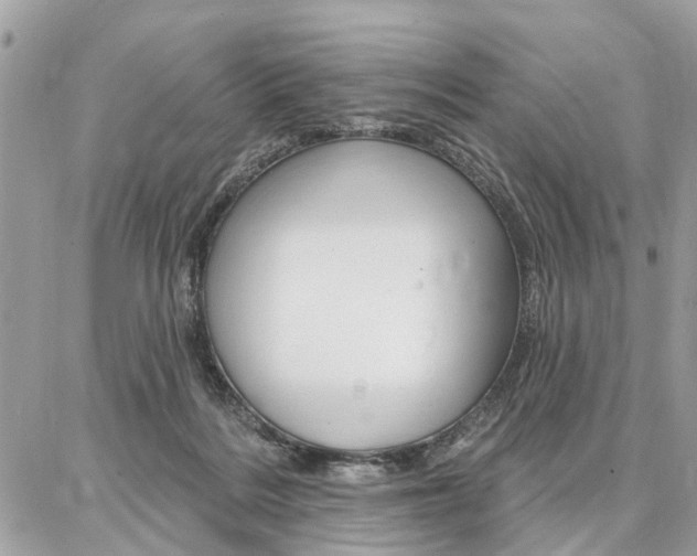 X0000086880220200704160948