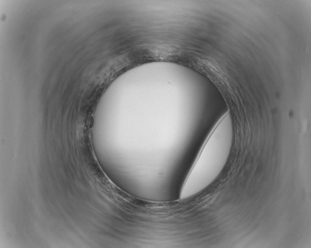 X0000086880221200704160948