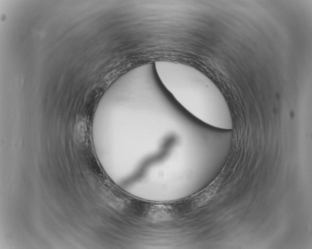 X0000086880222200704160948