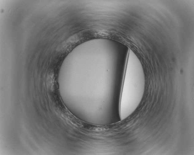 X0000086880223200704160948