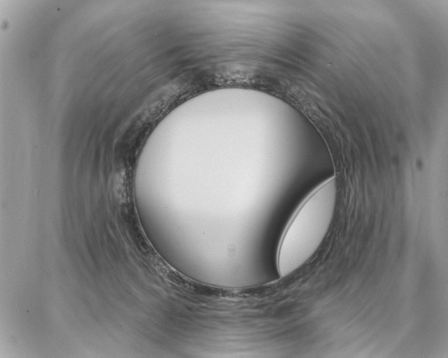 X0000086880224200704160948