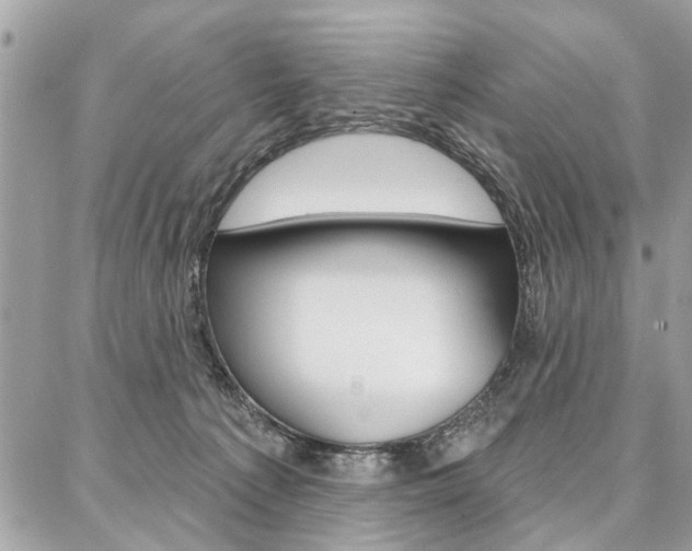 X0000086880225200704160948