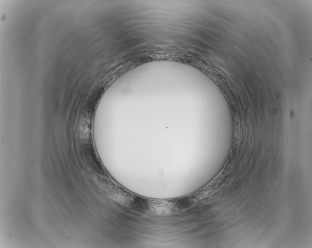 X0000086880226200704160948