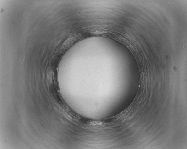 X0000086880227200704160948