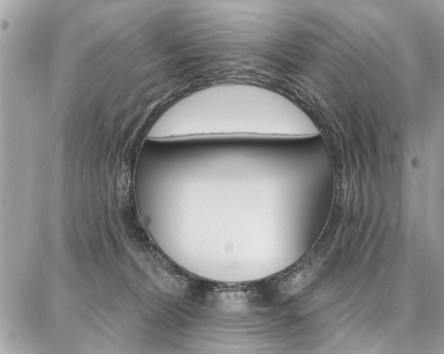 X0000086880228200704160948