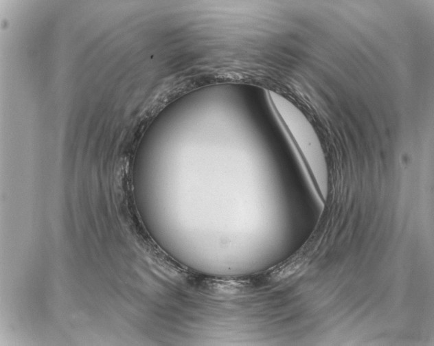 X0000086880229200704160948