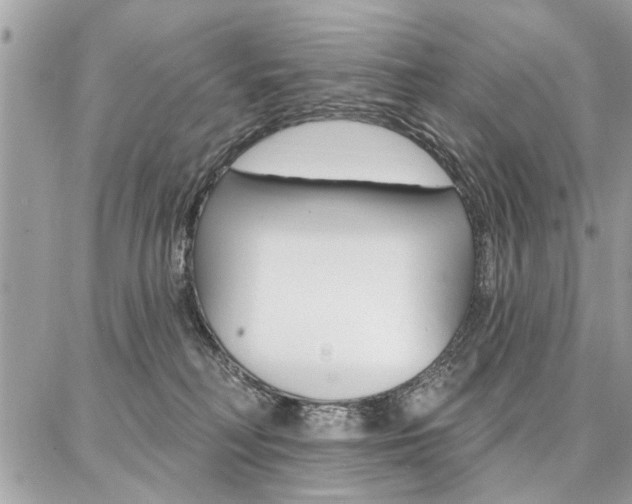 X0000086880230200704160948