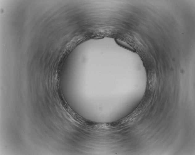 X0000086880231200704160948