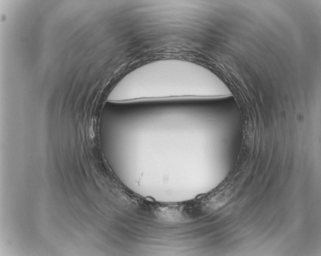 X0000086880232200704160948