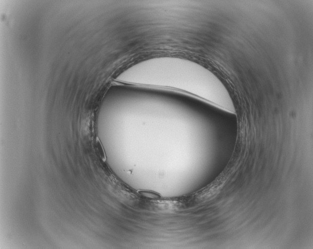 X0000086880233200704160948