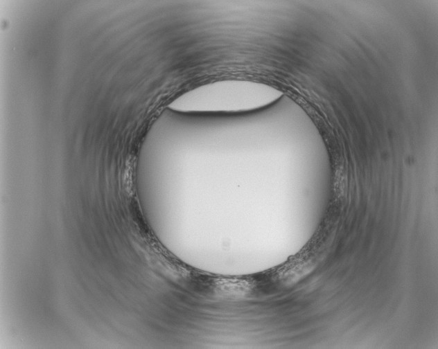 X0000086880234200704160948