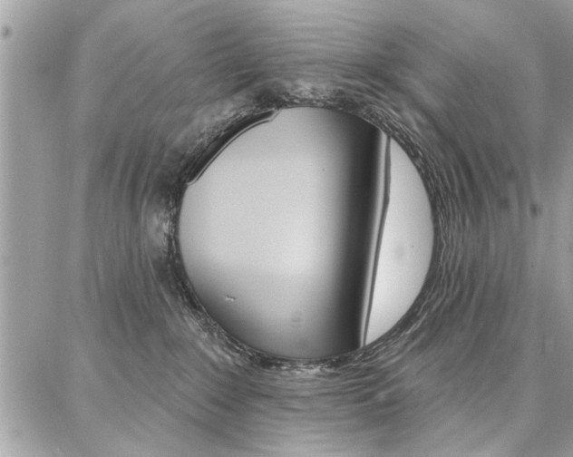 X0000086880235200704160948