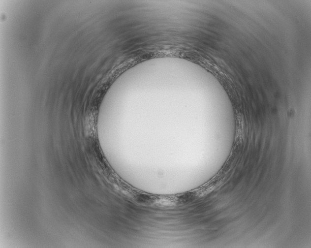 X0000086880236200704160948