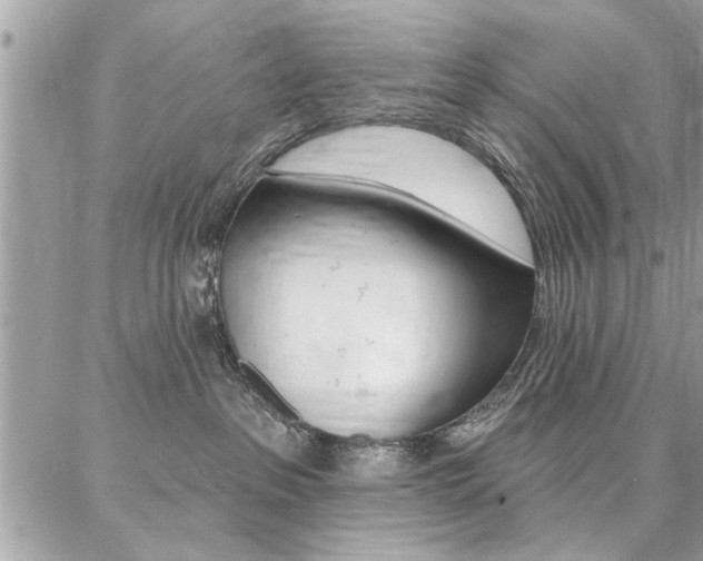 X0000086880237200704160948