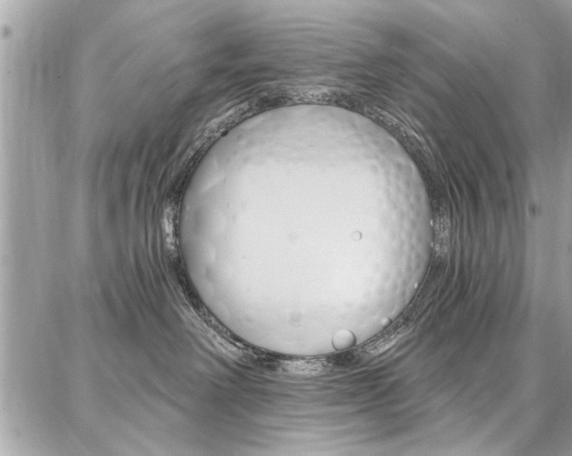 X0000086880238200704160948