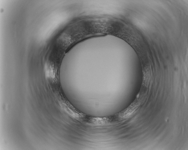 X0000086880239200704160948