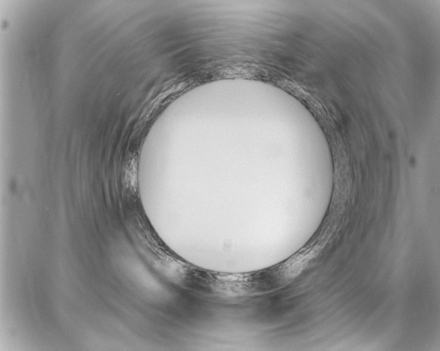 X0000086880240200704160948