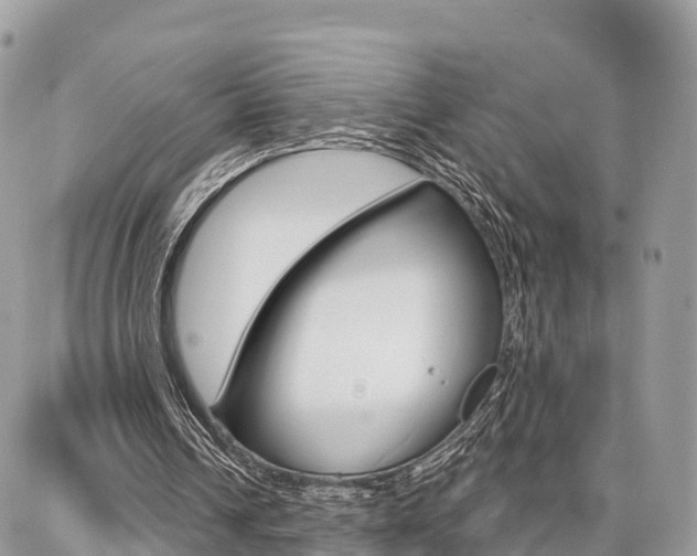 X0000086880242200704160947