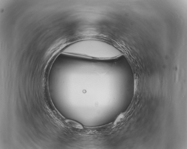 X0000086880243200704160947