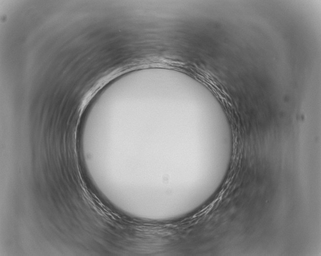 X0000086880244200704160947