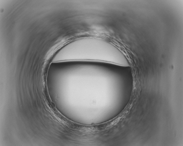 X0000086880245200704160947