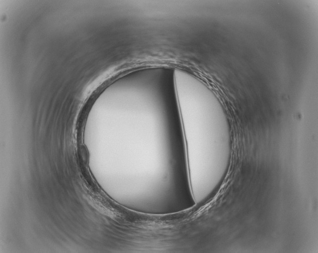 X0000086880246200704160947