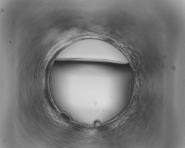 X0000086880247200704160947