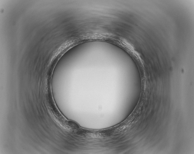 X0000086880250200704160947