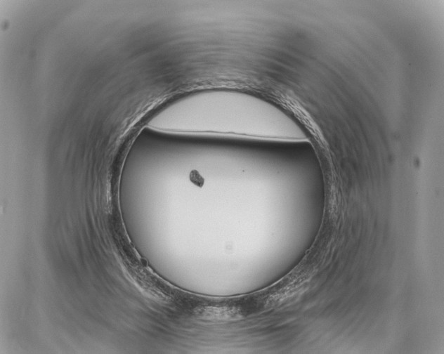 X0000086880251200704160947