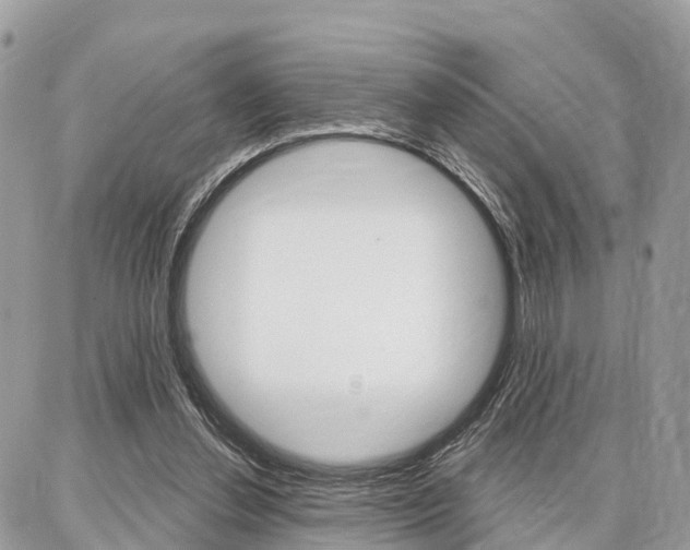 X0000086880252200704160947