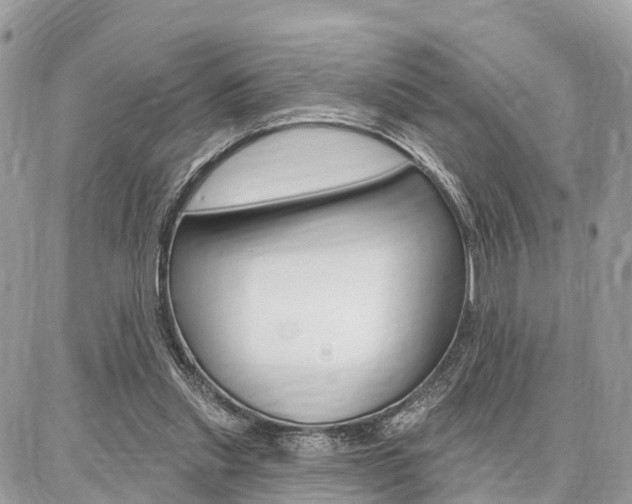 X0000086880253200704160947