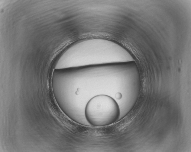 X0000086880254200704160947