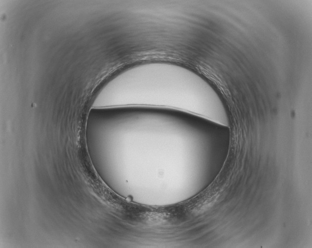 X0000086880255200704160947