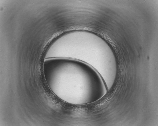 X0000086880256200704160947