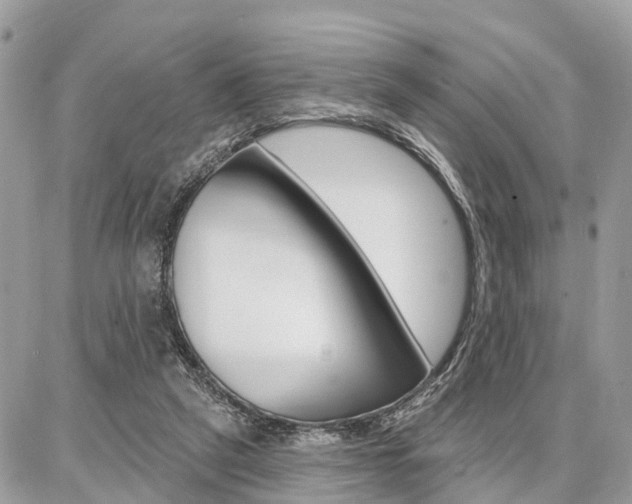 X0000086880257200704160947