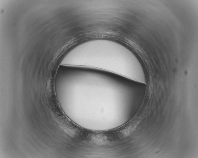 X0000086880258200704160947